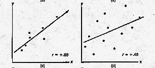 Strong & Moderate Corrrelations